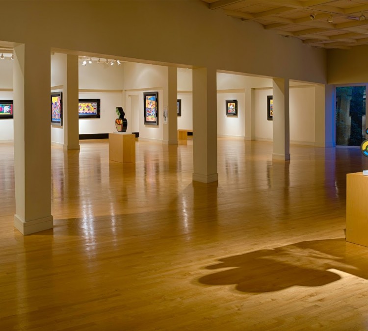 coral-springs-museum-of-art-photo